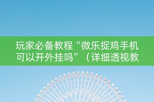 玩家必备教程“微乐捉鸡手机可以开外挂吗”（详细透视教程）-哔哩哔哩