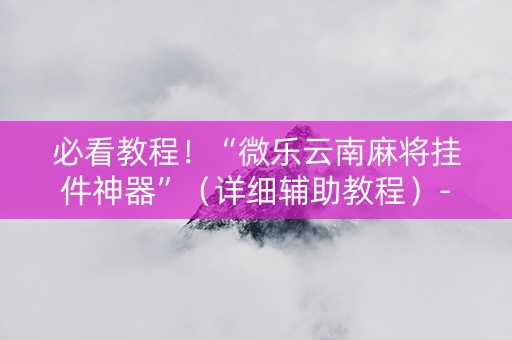 必看教程！“微乐云南麻将挂件神器”（详细辅助教程）-哔哩哔哩
