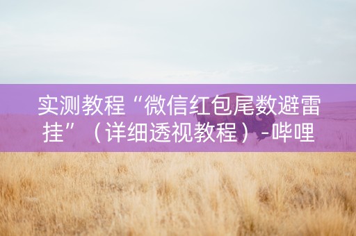 实测教程“微信红包尾数避雷挂”（详细透视教程）-哔哩哔哩