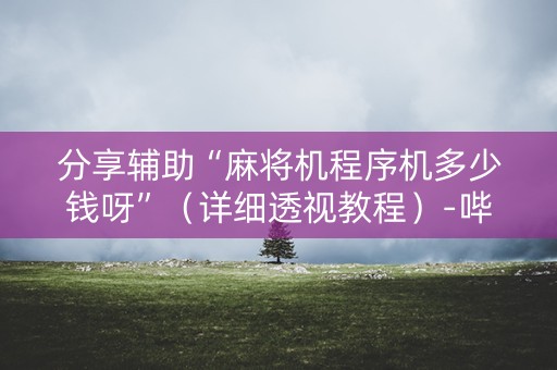 分享辅助“麻将机程序机多少钱呀”（详细透视教程）-哔哩哔哩