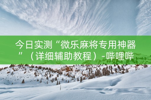 今日实测“微乐麻将专用神器”（详细辅助教程）-哔哩哔哩