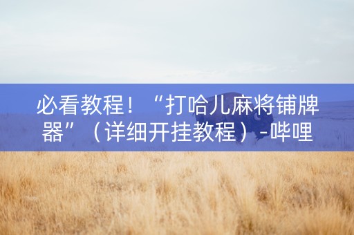 必看教程！“打哈儿麻将铺牌器”（详细开挂教程）-哔哩哔哩