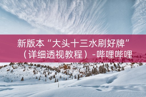 新版本“大头十三水刷好牌”（详细透视教程）-哔哩哔哩