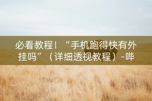 必看教程！“手机跑得快有外挂吗”（详细透视教程）-哔哩哔哩