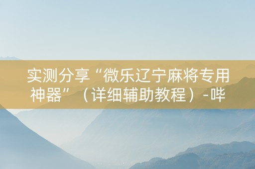 实测分享“微乐辽宁麻将专用神器”（详细辅助教程）-哔哩哔哩
