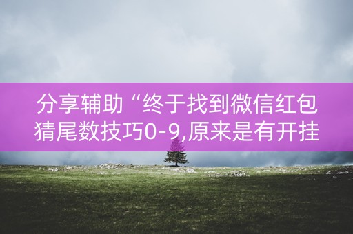 分享辅助“终于找到微信红包猜尾数技巧0-9,原来是有开挂”（详细透视教程）-哔哩哔哩