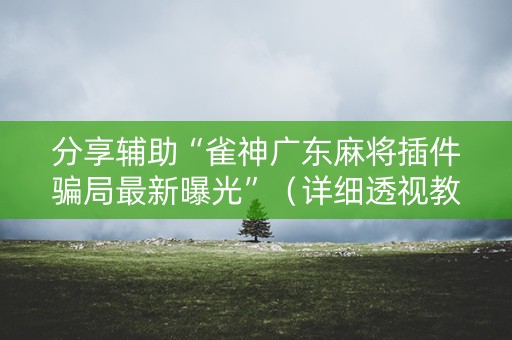 分享辅助“雀神广东麻将插件骗局最新曝光”（详细透视教程）-哔哩哔哩