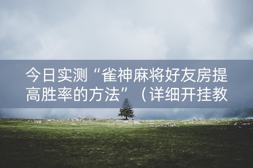 今日实测“雀神麻将好友房提高胜率的方法”（详细开挂教程）-哔哩哔哩