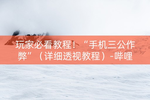 玩家必看教程！“手机三公作弊”（详细透视教程）-哔哩哔哩