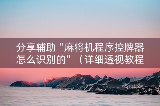 分享辅助“麻将机程序控牌器怎么识别的”（详细透视教程）-哔哩哔哩