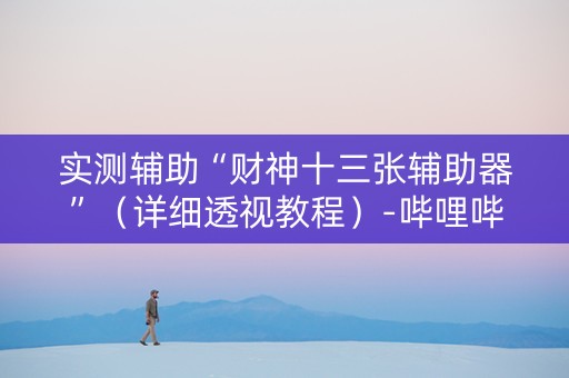 实测辅助“财神十三张辅助器”（详细透视教程）-哔哩哔哩