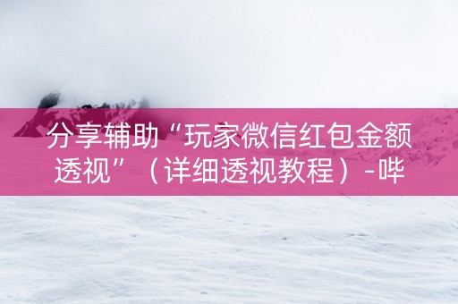 分享辅助“玩家微信红包金额透视”（详细透视教程）-哔哩哔哩