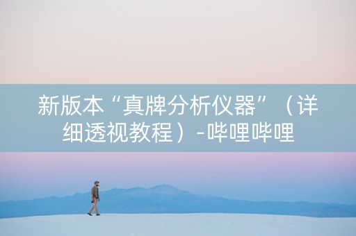 新版本“真牌分析仪器”（详细透视教程）-哔哩哔哩