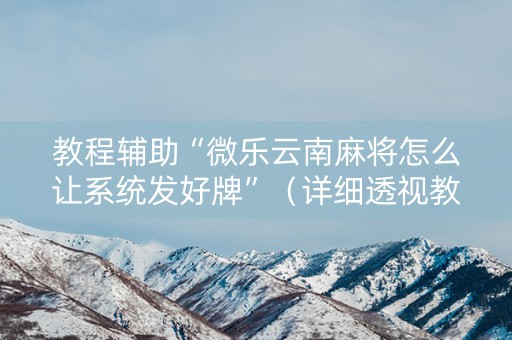 教程辅助“微乐云南麻将怎么让系统发好牌”（详细透视教程）-哔哩哔哩