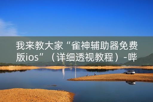 我来教大家“雀神辅助器免费版ios”（详细透视教程）-哔哩哔哩