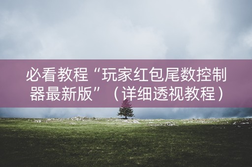 必看教程“玩家红包尾数控制器最新版”（详细透视教程）-哔哩哔哩