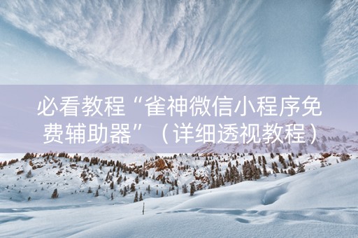 必看教程“雀神微信小程序免费辅助器”（详细透视教程）-哔哩哔哩