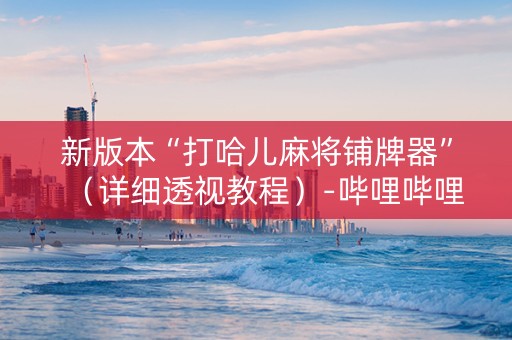 新版本“打哈儿麻将铺牌器”（详细透视教程）-哔哩哔哩