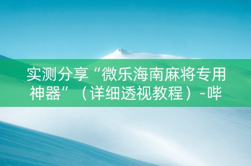 实测分享“微乐海南麻将专用神器”（详细透视教程）-哔哩哔哩