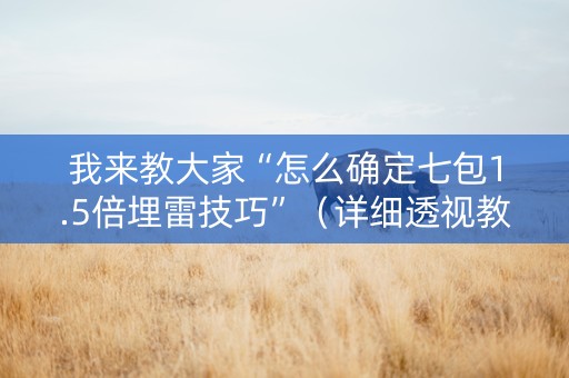 我来教大家“怎么确定七包1.5倍埋雷技巧”（详细透视教程）-哔哩哔哩