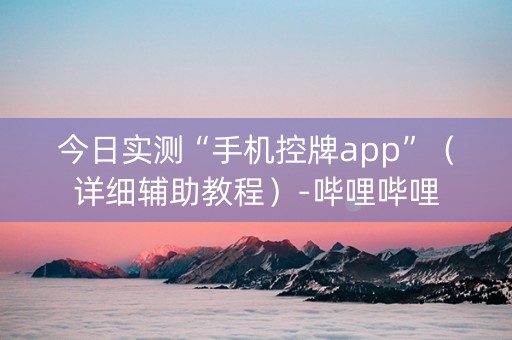 今日实测“手机控牌app”（详细辅助教程）-哔哩哔哩