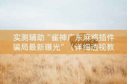 实测辅助“雀神广东麻将插件骗局最新曝光”（详细透视教程）-哔哩哔哩