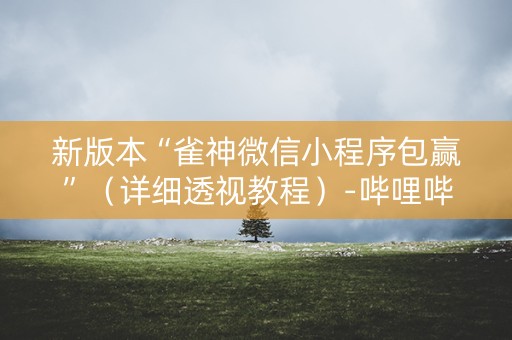 新版本“雀神微信小程序包赢”（详细透视教程）-哔哩哔哩