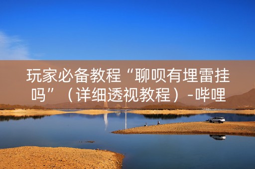 玩家必备教程“聊呗有埋雷挂吗”（详细透视教程）-哔哩哔哩