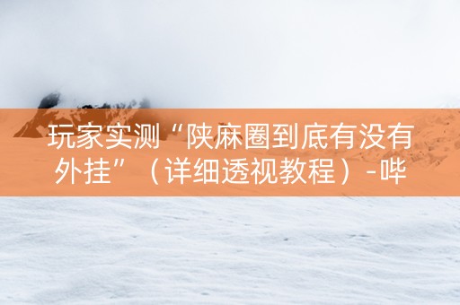 玩家实测“陕麻圈到底有没有外挂”（详细透视教程）-哔哩哔哩