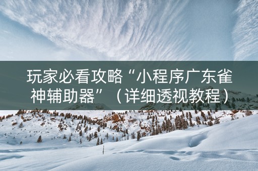 玩家必看攻略“小程序广东雀神辅助器”（详细透视教程）-哔哩哔哩