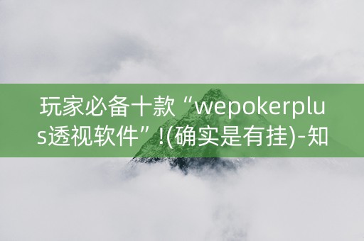 玩家必备十款“wepokerplus透视软件”!(确实是有挂)-知乎
