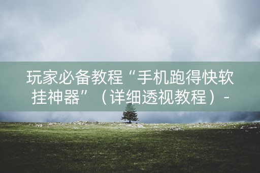 玩家必备教程“手机跑得快软挂神器”（详细透视教程）-哔哩哔哩
