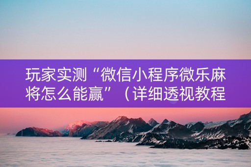 玩家实测“微信小程序微乐麻将怎么能赢”（详细透视教程）-哔哩哔哩