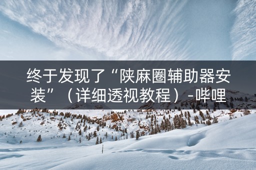 终于发现了“陕麻圈辅助器安装”（详细透视教程）-哔哩哔哩