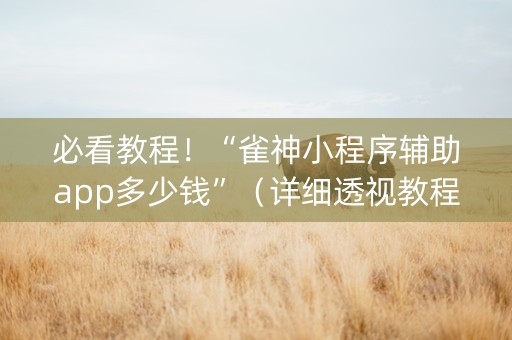 必看教程！“雀神小程序辅助app多少钱”（详细透视教程）-哔哩哔哩