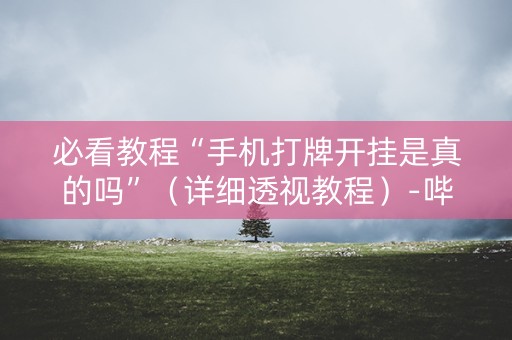 必看教程“手机打牌开挂是真的吗”（详细透视教程）-哔哩哔哩
