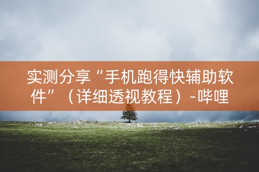 实测分享“手机跑得快辅助软件”（详细透视教程）-哔哩哔哩