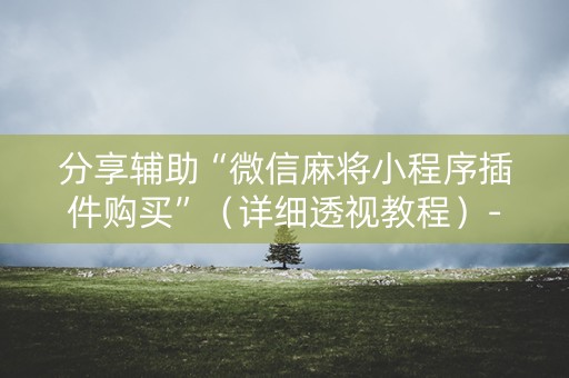 分享辅助“微信麻将小程序插件购买”（详细透视教程）-哔哩哔哩