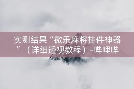 实测结果“微乐麻将挂件神器”（详细透视教程）-哔哩哔哩