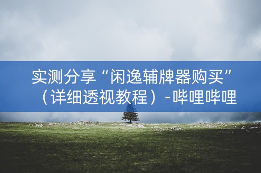 实测分享“闲逸辅牌器购买”（详细透视教程）-哔哩哔哩