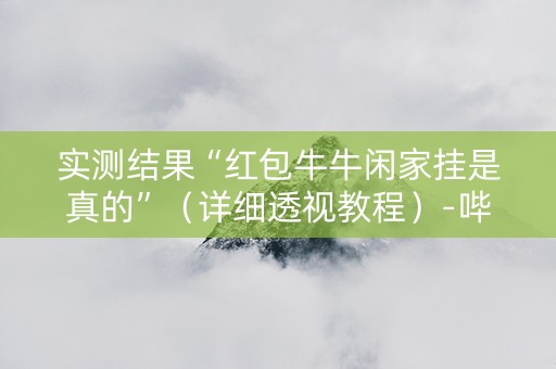 实测结果“红包牛牛闲家挂是真的”（详细透视教程）-哔哩哔哩