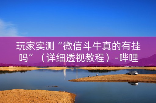 玩家实测“微信斗牛真的有挂吗”（详细透视教程）-哔哩哔哩