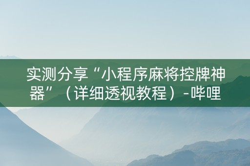 实测分享“小程序麻将控牌神器”（详细透视教程）-哔哩哔哩