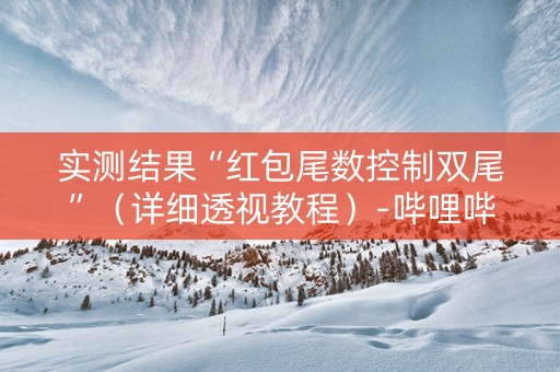 实测结果“红包尾数控制双尾”（详细透视教程）-哔哩哔哩