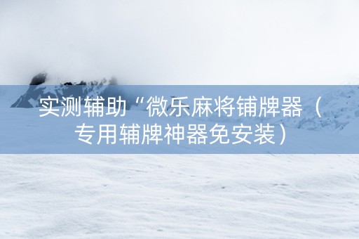 实测辅助“微乐麻将铺牌器（专用辅牌神器免安装）