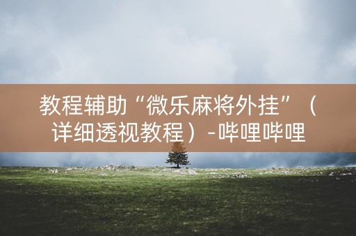 教程辅助“微乐麻将外挂”（详细透视教程）-哔哩哔哩