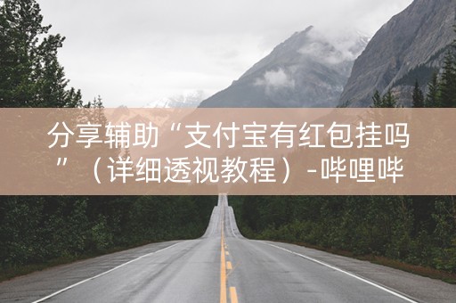 分享辅助“支付宝有红包挂吗”（详细透视教程）-哔哩哔哩