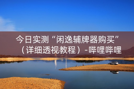 今日实测“闲逸辅牌器购买”（详细透视教程）-哔哩哔哩