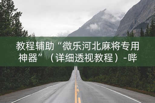 教程辅助“微乐河北麻将专用神器”（详细透视教程）-哔哩哔哩