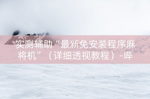 实测辅助“最新免安装程序麻将机”（详细透视教程）-哔哩哔哩
